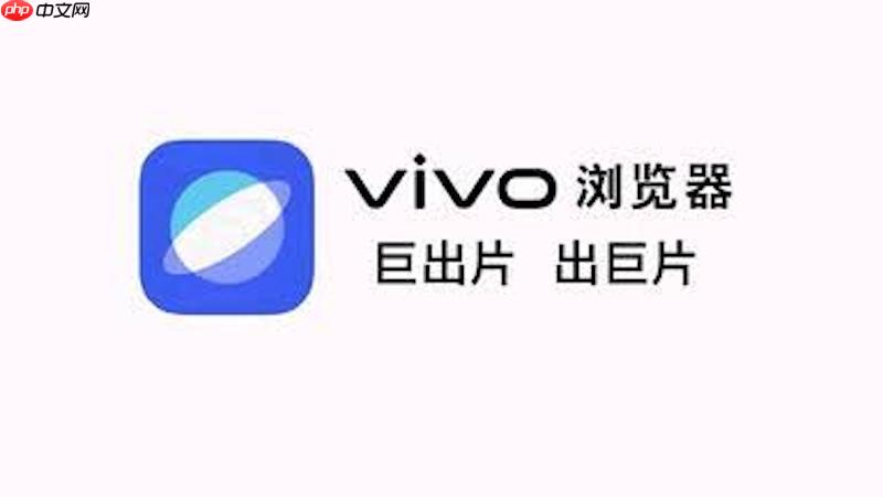 如何在vivo浏览器中调整网页字体大小以改善阅读体验?