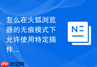 怎么在火狐浏览器的无痕模式下允许使用特定插件?