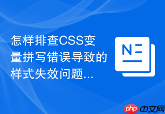 怎样排查css变量拼写错误导致的样式失效问题