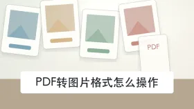 PDF转图片格式怎么操作？图片清晰度和位置怎么检查