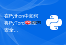 在Python中如何将PyTorch模型安全导出为ONNX格式？