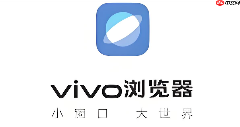 如何解决vivo浏览器遇到重定向次数过多无法打开网页?