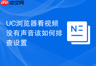 uc浏览器看视频没有声音该如何排查设置