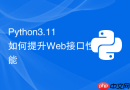 Python3.11如何提升Web接口性能