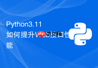 python3.11如何提升web接口性能