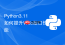 python3.11如何提升web接口性能