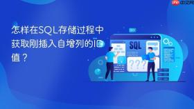 怎样在sql存储过程中获取刚插入自增列的id值?