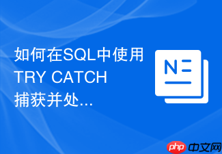 如何在sql中使用try catch捕获并处理dml异常