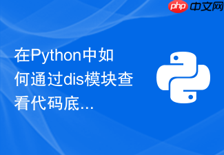 在python中如何通过dis模块查看代码底层的字节码指令?