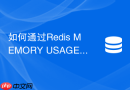 如何通过Redis MEMORY USAGE命令精准分析不同数据类型的内存消耗