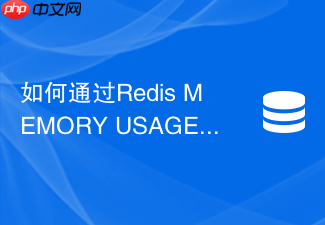 如何通过redis memory usage命令精准分析不同数据类型的内存消耗