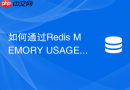如何通过redis memory usage命令精准分析不同数据类型的内存消耗