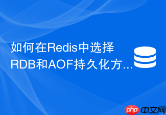 如何在redis中选择rdb和aof持久化方式