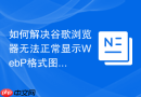 如何解决谷歌浏览器无法正常显示WebP格式图片的问题？