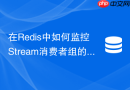 在Redis中如何监控Stream消费者组的Lag消息延迟指标