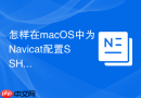 怎样在macOS中为Navicat配置SSH密钥