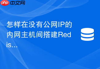 怎样在没有公网ip的内网主机间搭建redis高可用集群