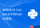 如何在vs code中为不同python项目指定虚拟环境