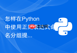 怎样在python中使用正则表达式命名分组提取数据？