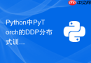 python中pytorch的ddp分布式训练如何正确设置多卡同步?