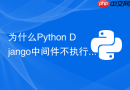 为什么python django中间件不执行