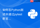 如何在python测试中通过pytest断言引发的警告
