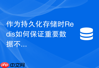 作为持久化存储时redis如何保证重要数据不被误淘汰