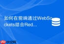 如何在前端通过WebSockets结合Redis Pub/Sub实现实时聊天室