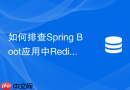 如何排查spring boot应用中redis大key导致的响应变慢问题