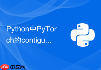 python中pytorch的contiguous方法何时必须调用?