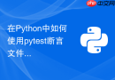 在Python中如何使用pytest断言文件读写与导出
