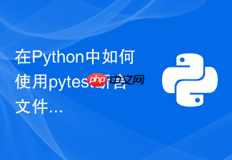 在python中如何使用pytest断言文件读写与导出