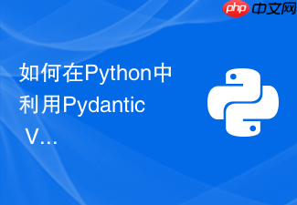 如何在python中利用pydantic v2进行高并发类属性验证