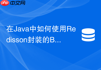 在java中如何使用redisson封装的bitmap实现权限掩码控制