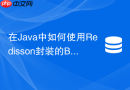 在java中如何使用redisson封装的bitmap实现权限掩码控制