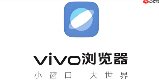 怎么恢复vivo浏览器的默认设置以解决未知卡顿bug？