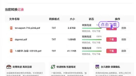 PDF怎么转TXT？临时办公怎么更快处理