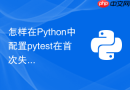 怎样在python中配置pytest在首次失败后立即停止