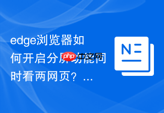edge浏览器如何开启分屏功能同时看两网页?