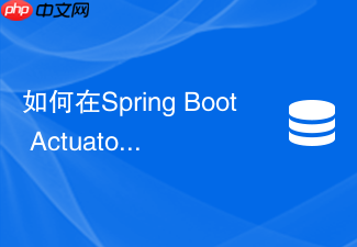 如何在spring boot actuator中监控redis连接池状态