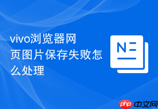 vivo浏览器网页图片保存失败怎么处理