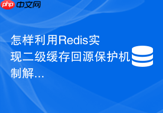 怎样利用redis实现二级缓存回源保护机制解决击穿?