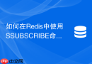 如何在Redis中使用SSUBSCRIBE命令优化集群分片订阅