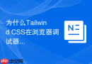 为什么Tailwind CSS在浏览器调试器里查不到样式？