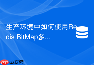 生产环境中如何使用redis bitmap多状态位记录复杂业务数据