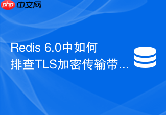 redis 6.0中如何排查tls加密传输带来的cpu性能损耗