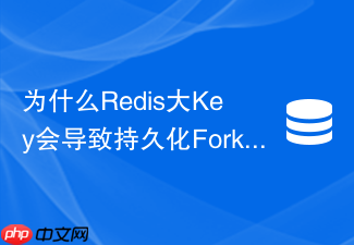为什么redis大key会导致持久化fork时的内存激增
