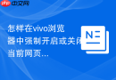 怎样在vivo浏览器中强制开启或关闭当前网页的JavaScript脚本运行？