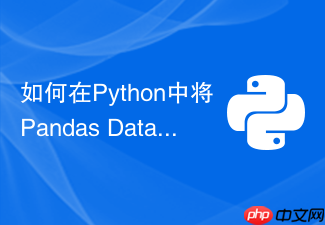 如何在python中将pandas dataframe零拷贝转为numpy