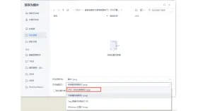 PDF页面怎么保存成图片？文件越大越要注意什么